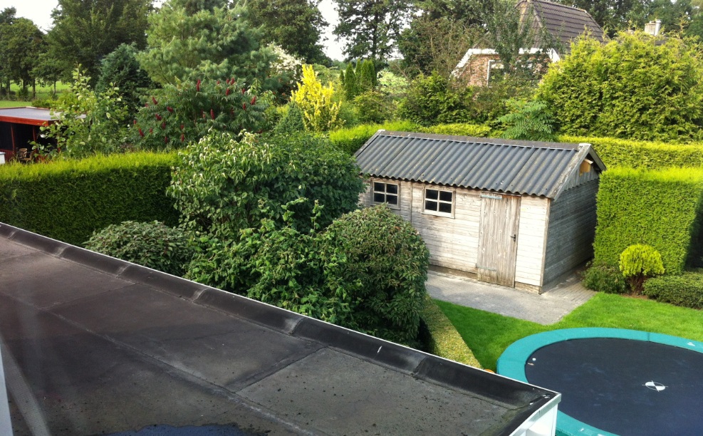 tuin4.jpg