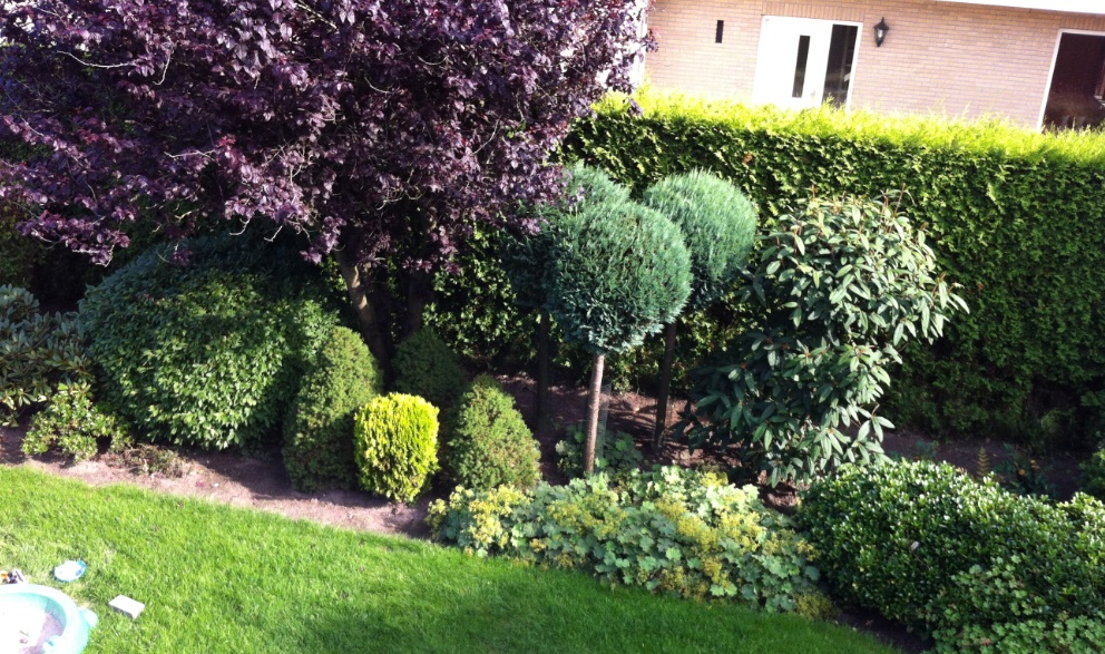 tuin2.jpg
