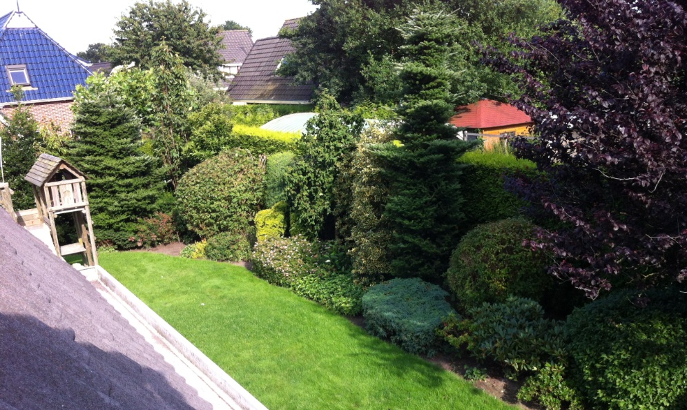 tuin1.jpg