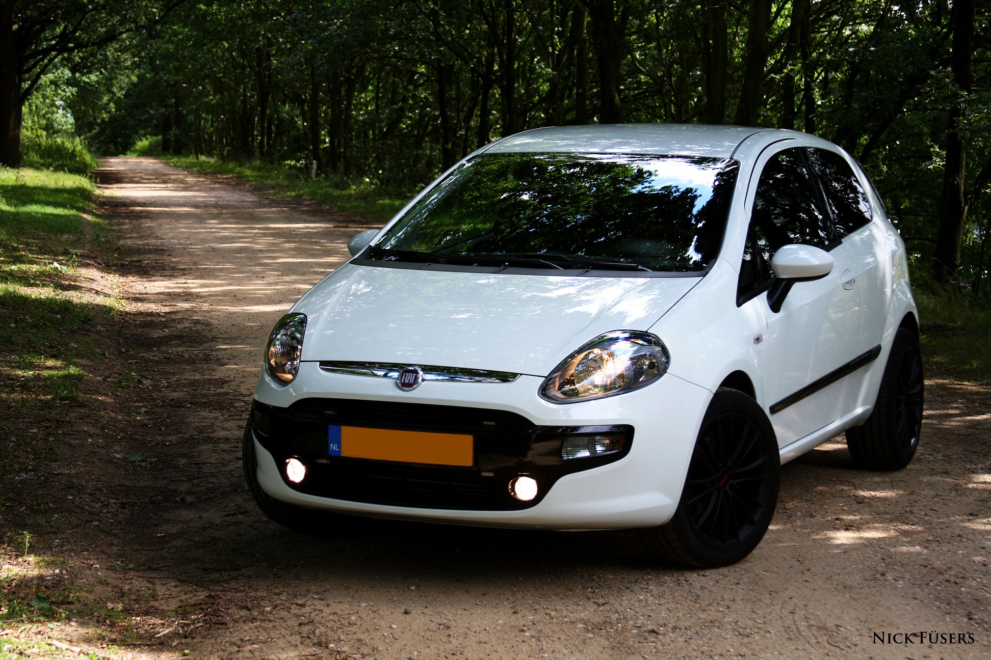 Fiat Punto EVO 6 NP.jpg