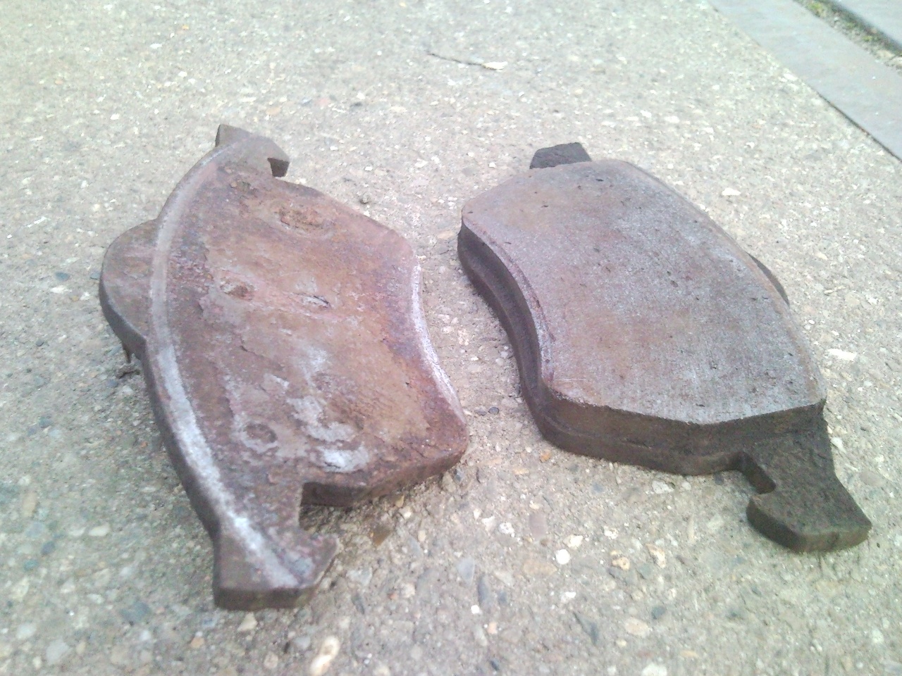 SNC00363.jpg