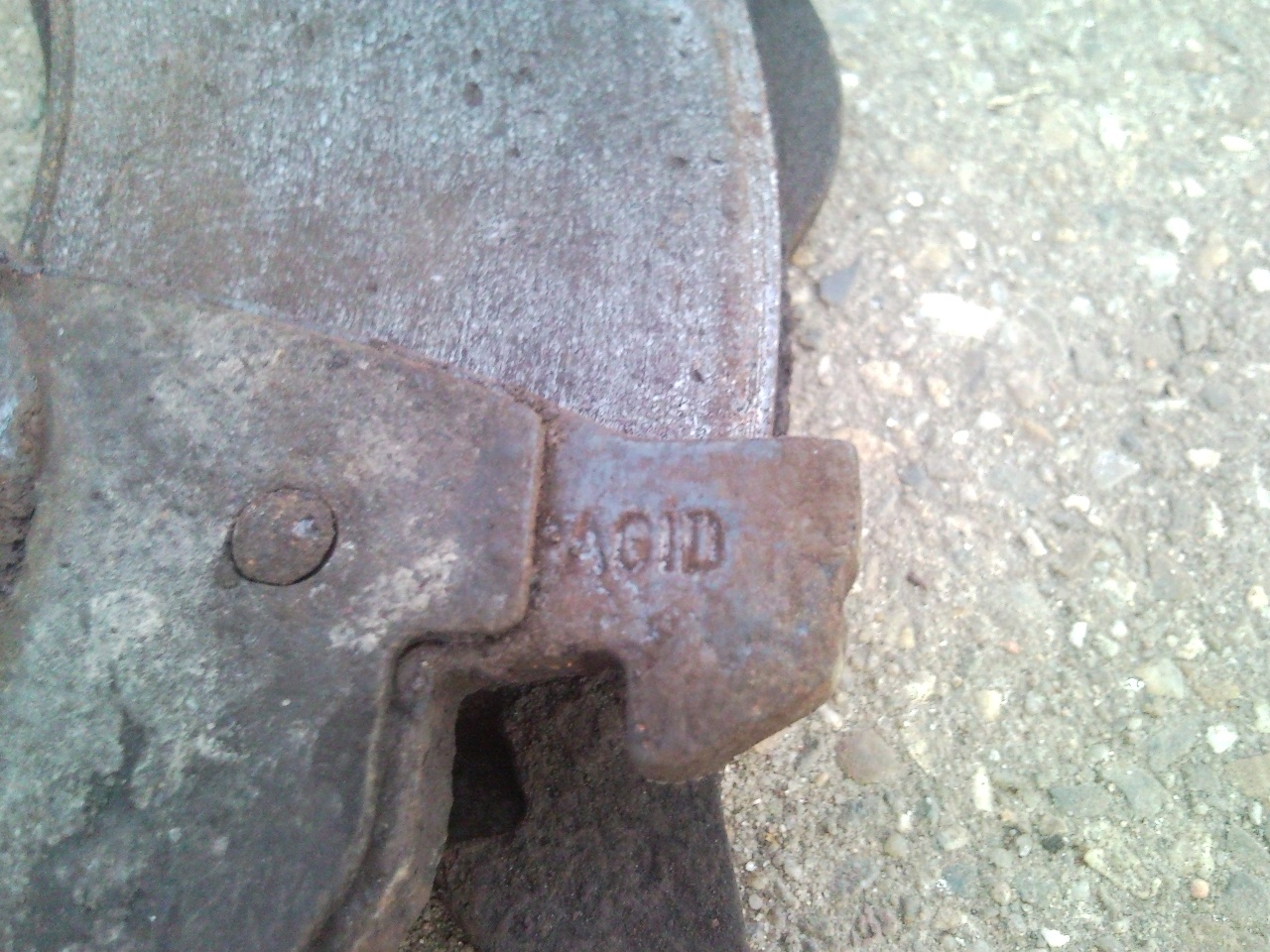 SNC00364.jpg