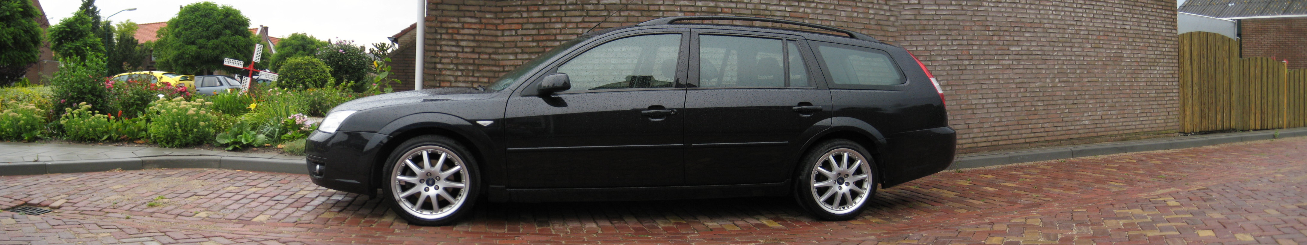 Mondeo breed.jpg