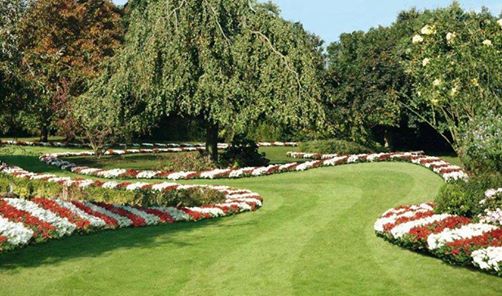 circuit achtertuin.jpg