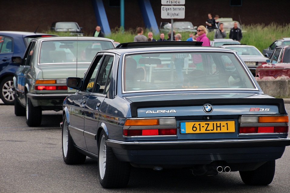 Alpina small 2.jpg