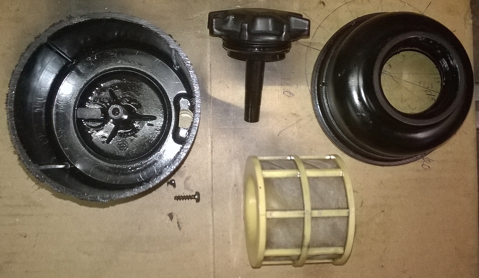 WP_20150511_007.jpg