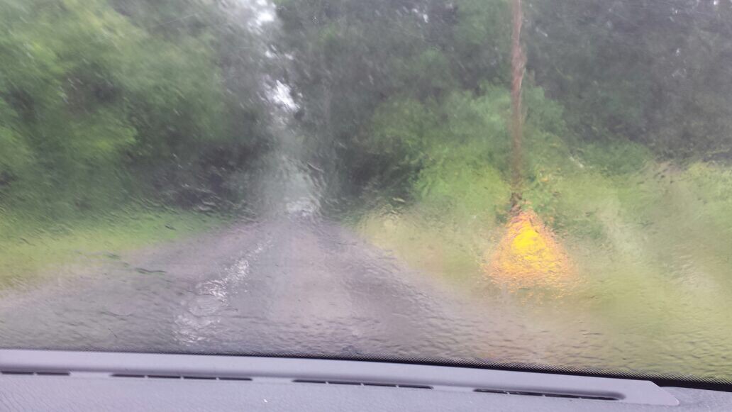 regen