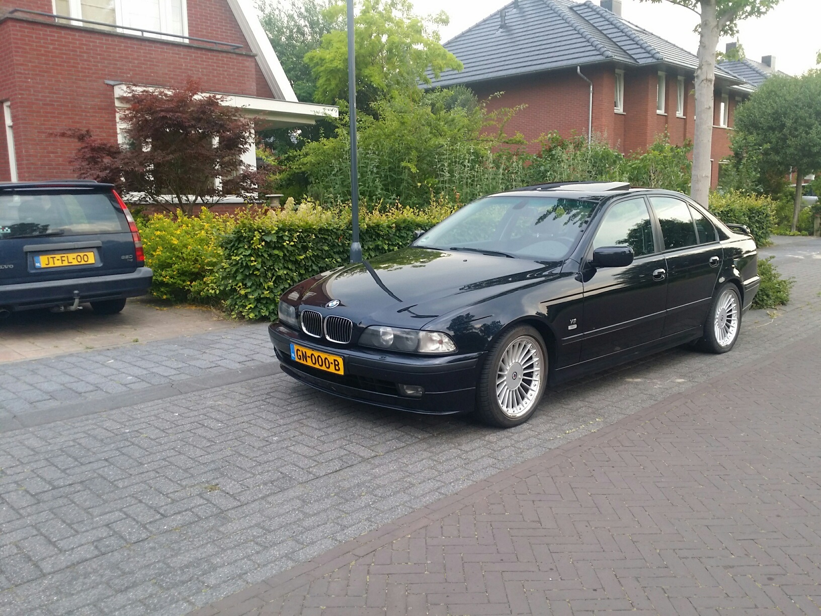 Alpina_resized.jpg