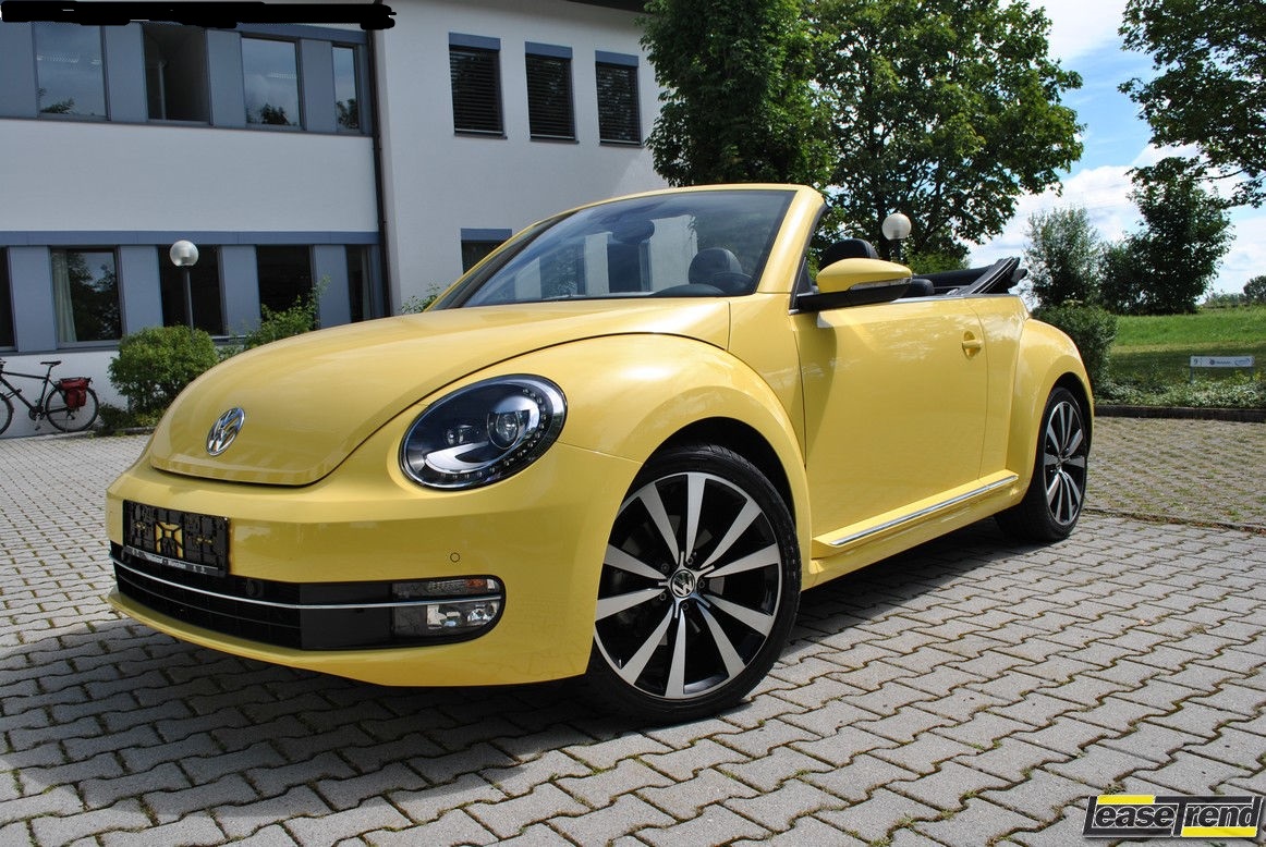 Beetle3.JPG