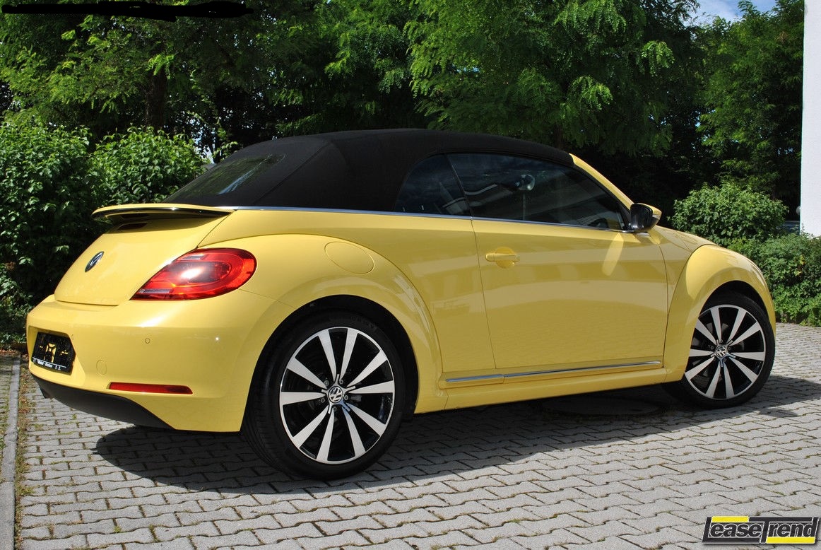 Beetle6.JPG
