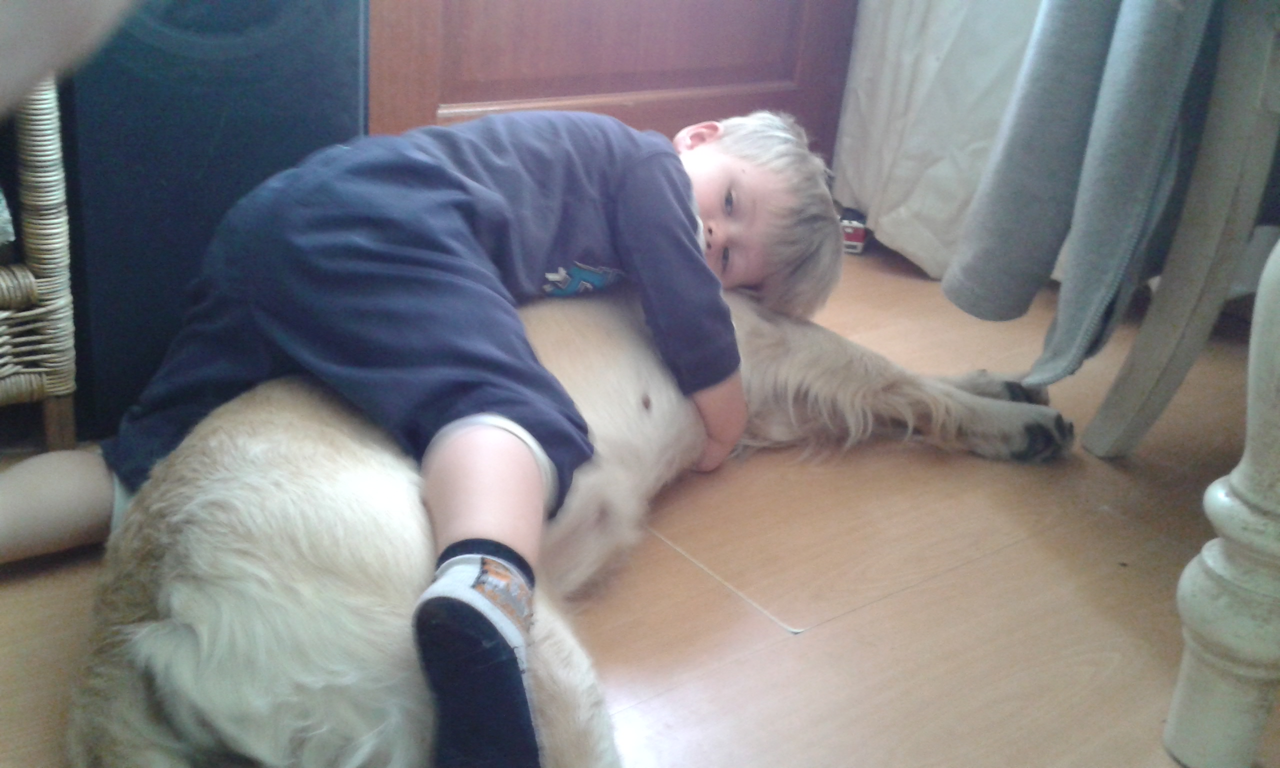 20150801_121224.jpg
