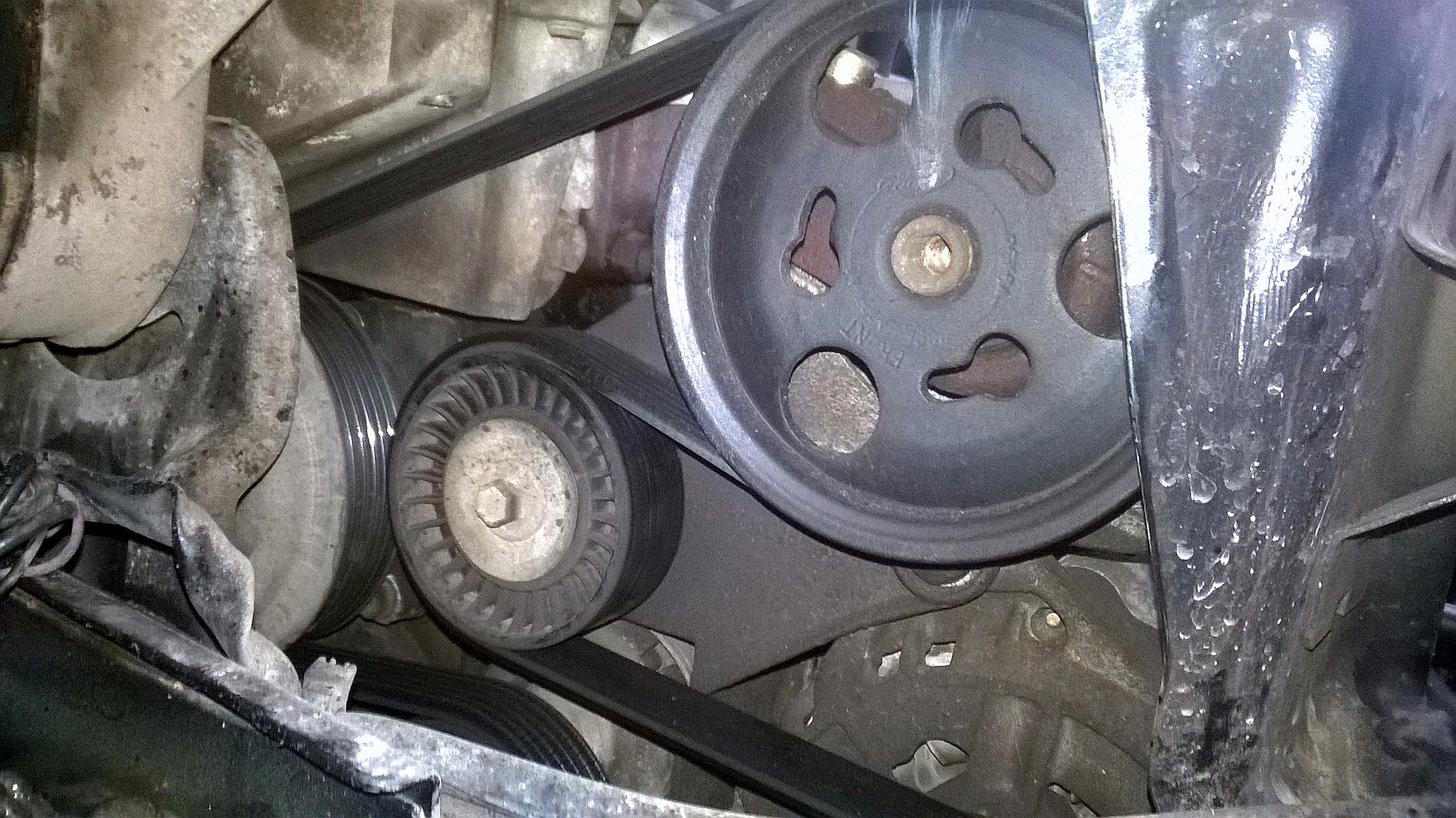 WP_20150922_002.jpg